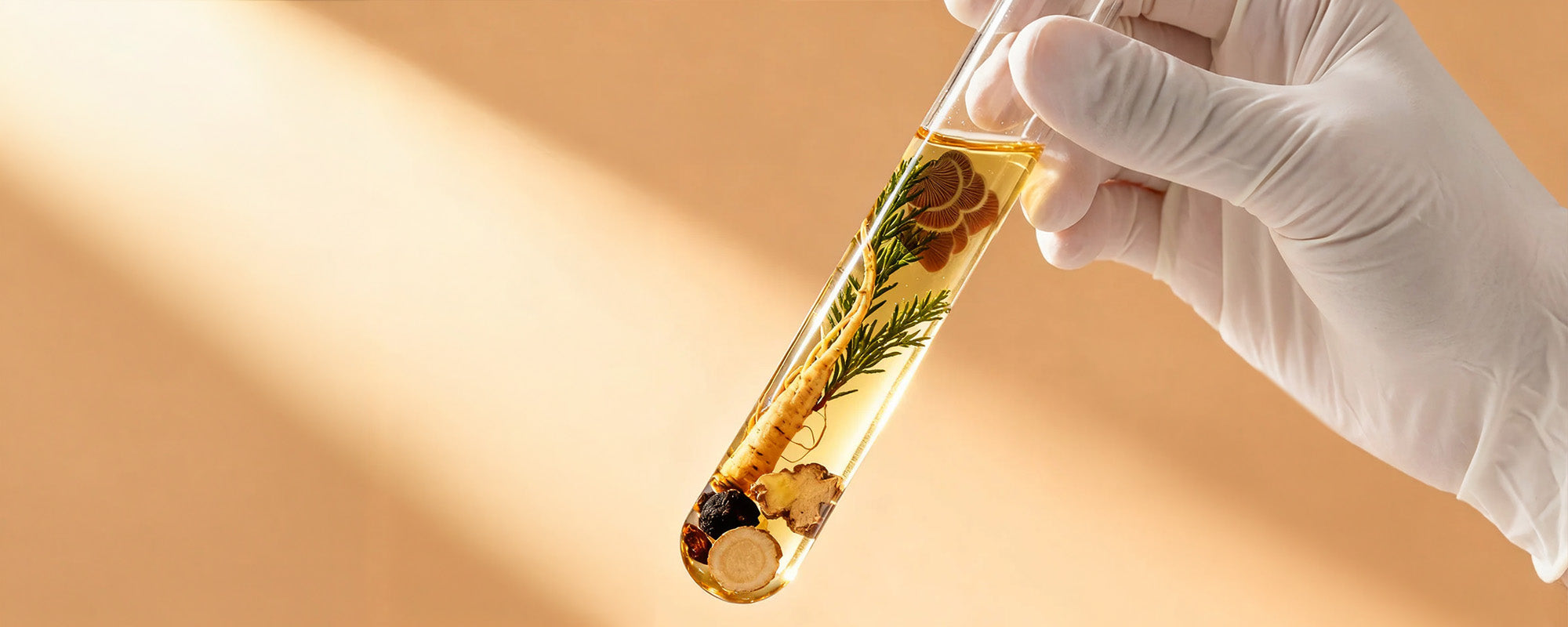 Kompleksowa analiza roślinnych składników przeciw wypadaniu włosów: naukowy wybór dla łagodnej pielęgnacji u nasady